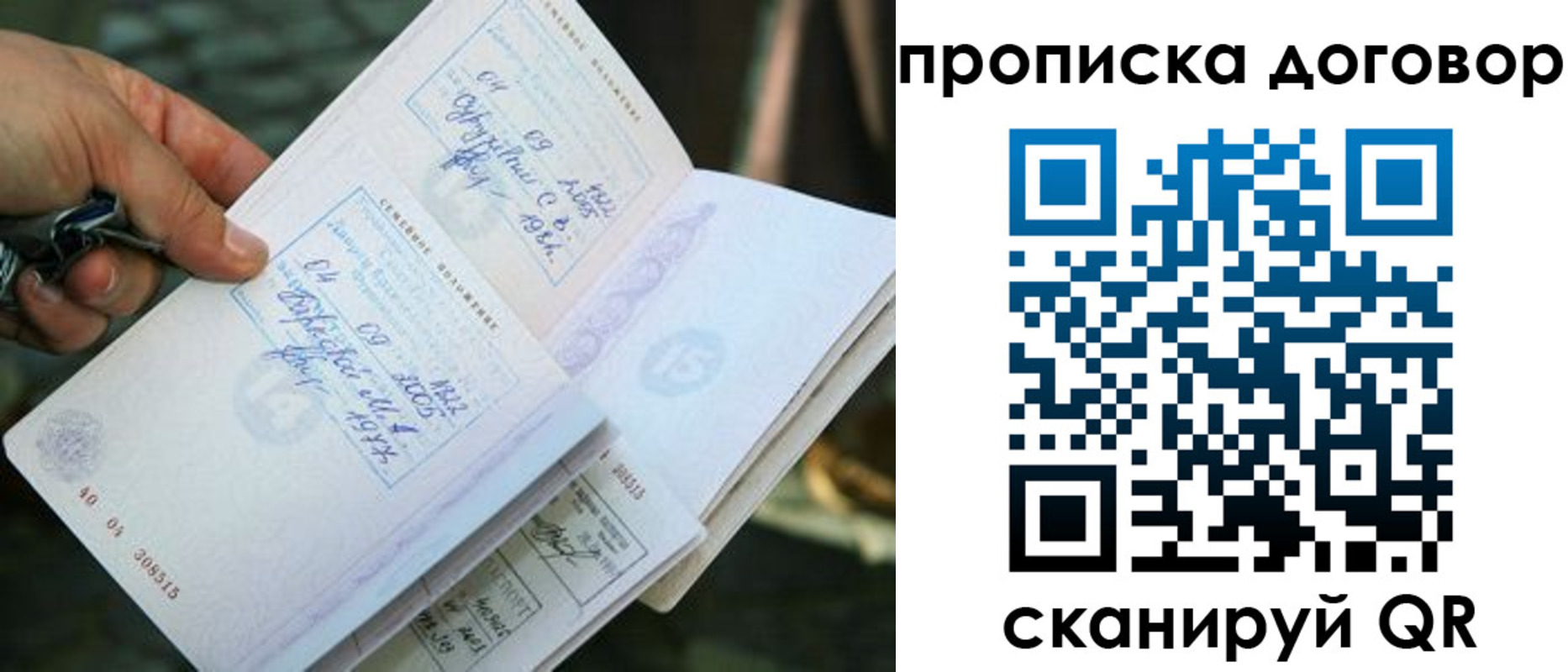 прописка для школы в Александрове